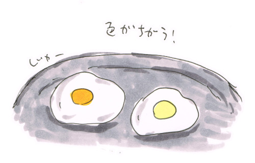 卵の違い