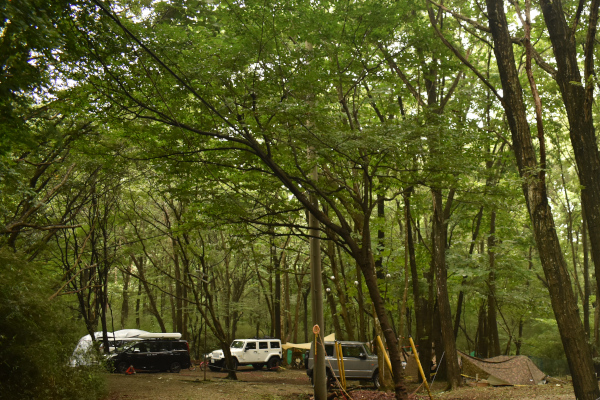 那須キャンプ2021年7月_1日目_3_長南寺パークキャンプ場で猛烈な雨とヘルシー夕食