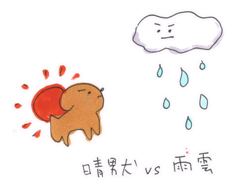 晴男犬vs雨雲