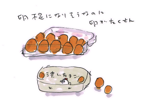 卵が豊富