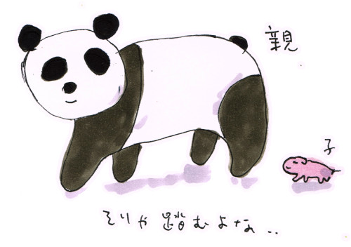 パンダの赤ちゃん