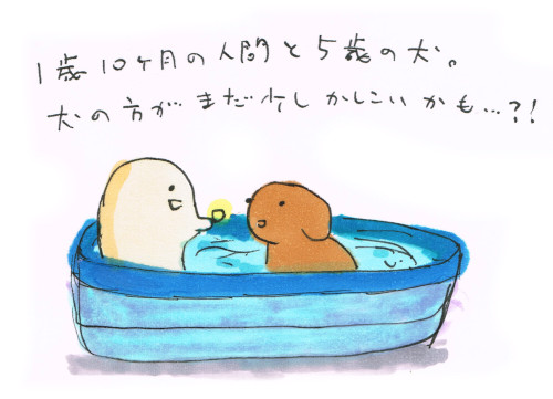 赤ちゃんと犬とプール